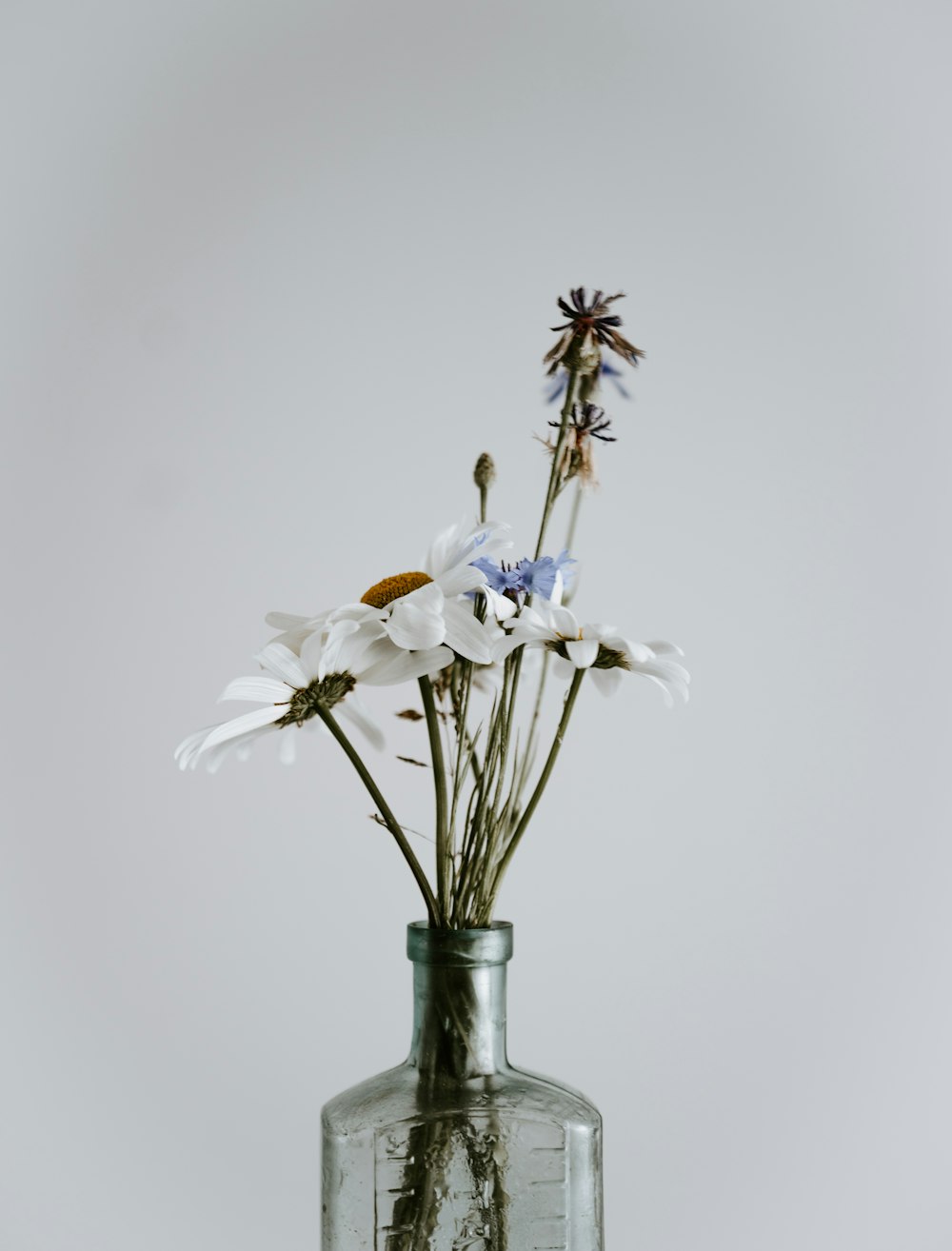 white flower in bottle