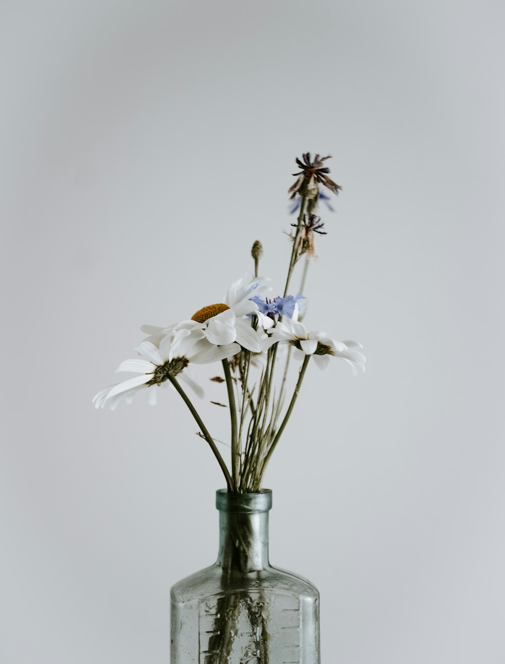 Flor blanca en frasco