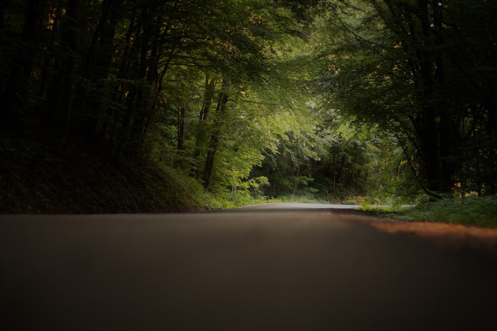 gray concrete road near green forest during daytime