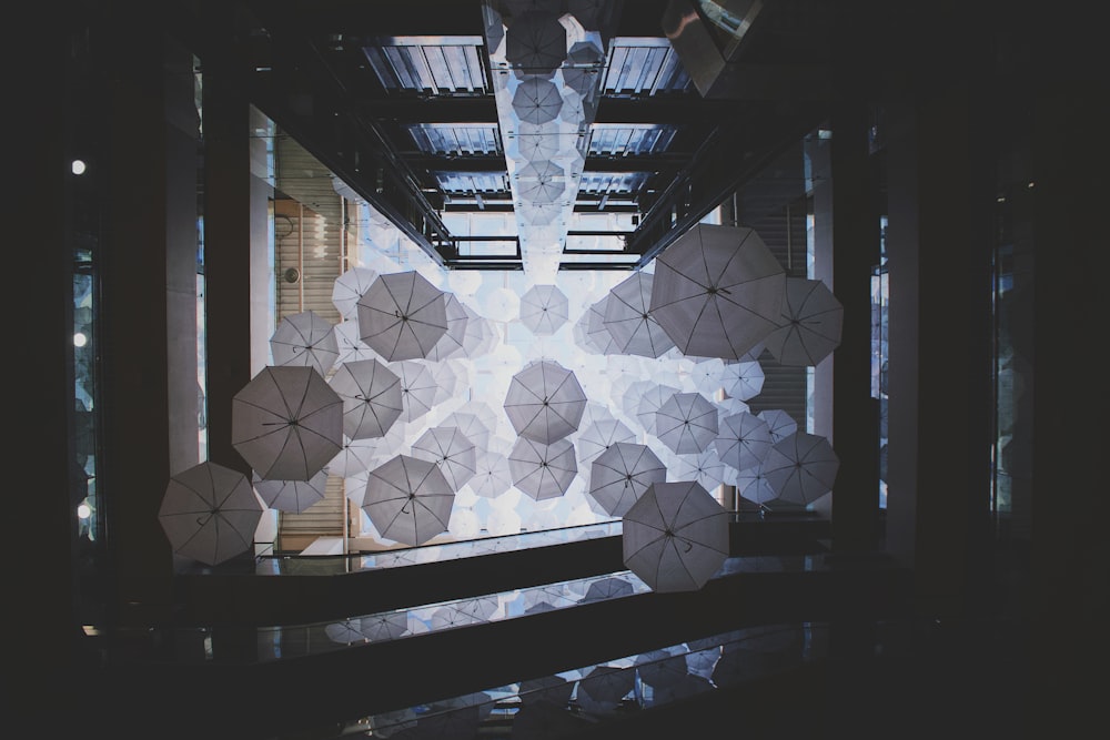 worm's eye view of white umbrellas