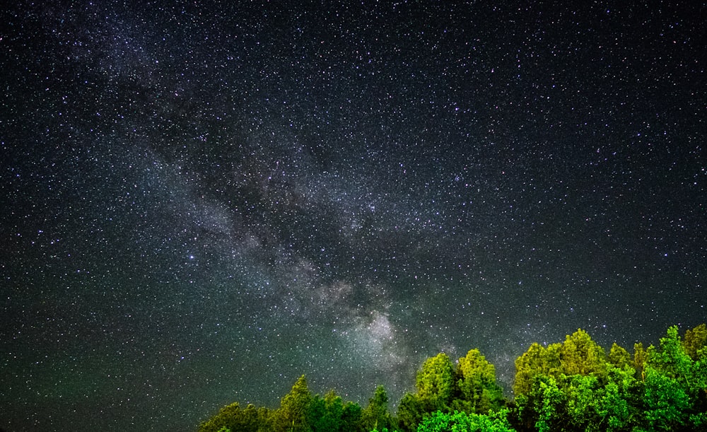 Milky Way Galaxy can be seen through tree leaves