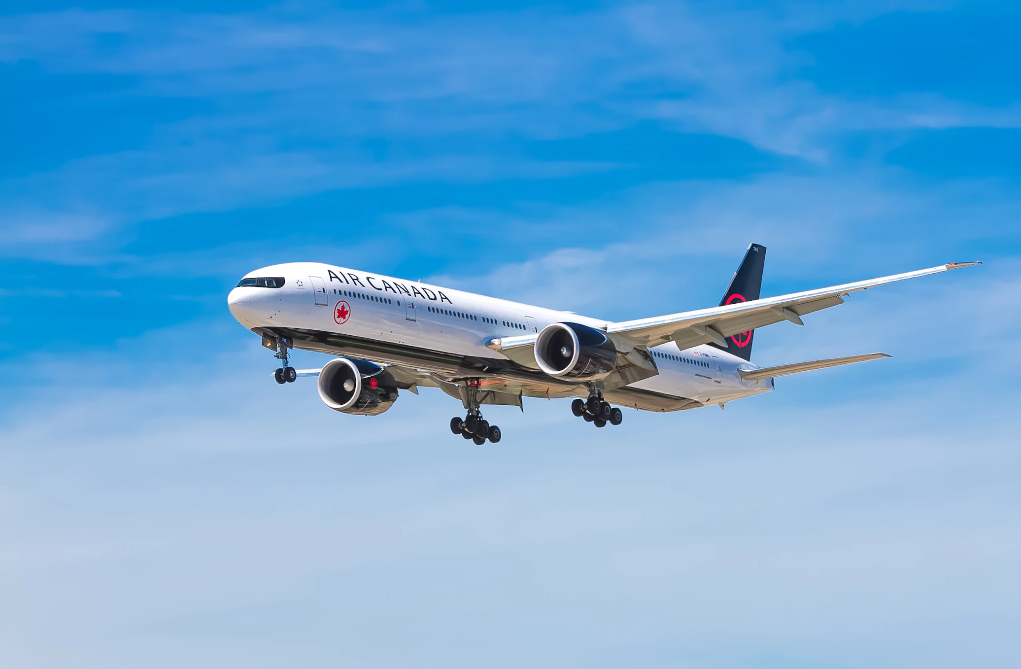 Complete BWI Airport Transportation Guide - Terminals, Pickup Locations & Tips