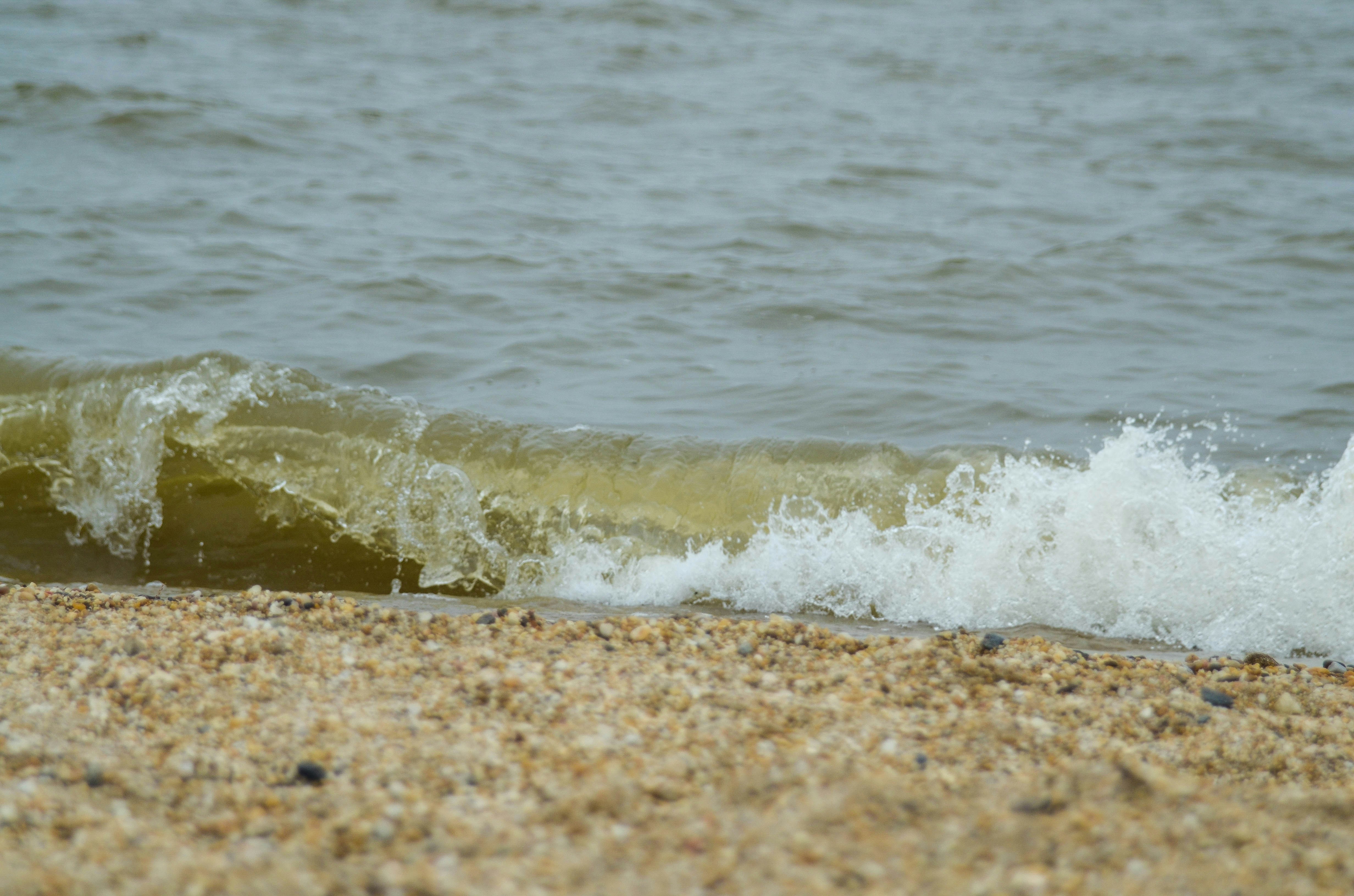 Photo by joyshotsphotography