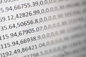 A close-up of a spreadsheet showing financial data.