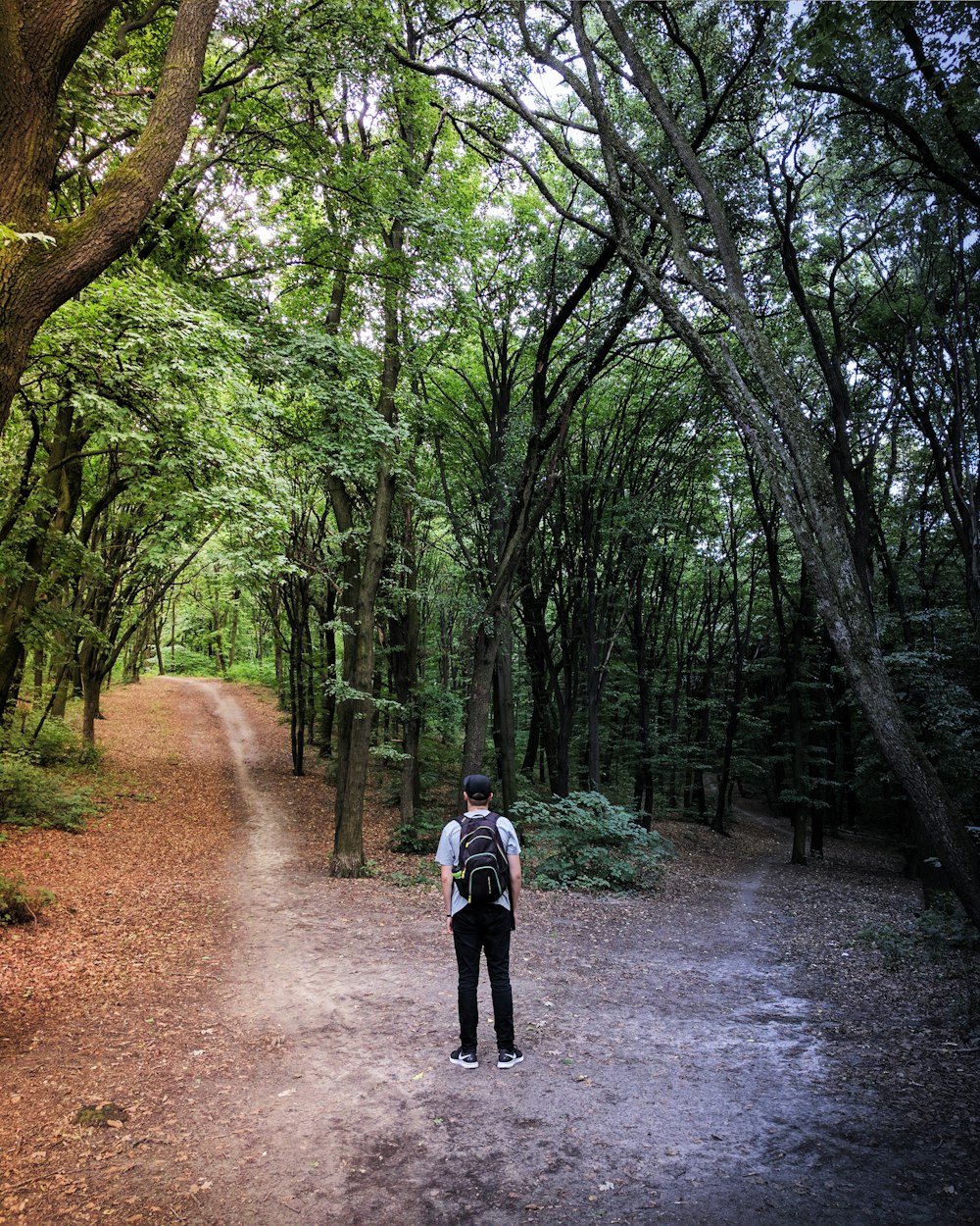 Homem em pé no meio da floresta