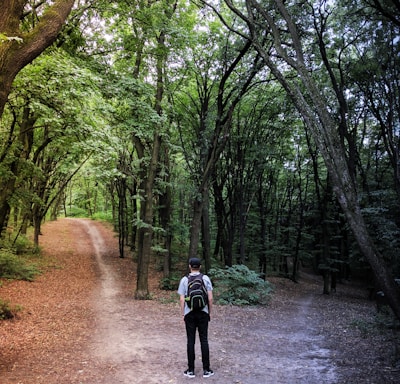 man standing in the middle of woods