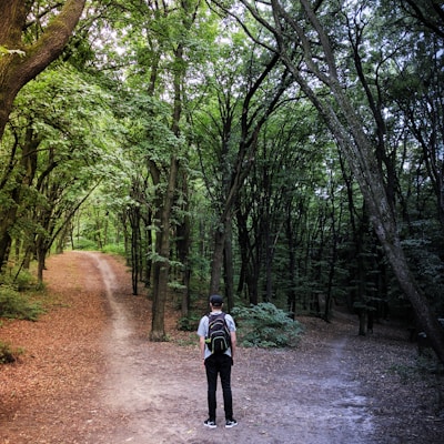 man standing in the middle of woods