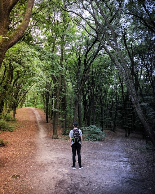 Photo of a man choosing between two paths in a forest- like choosing the right unfollow tracker app for Instagram