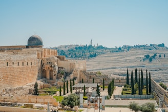 brown mosque at daytime