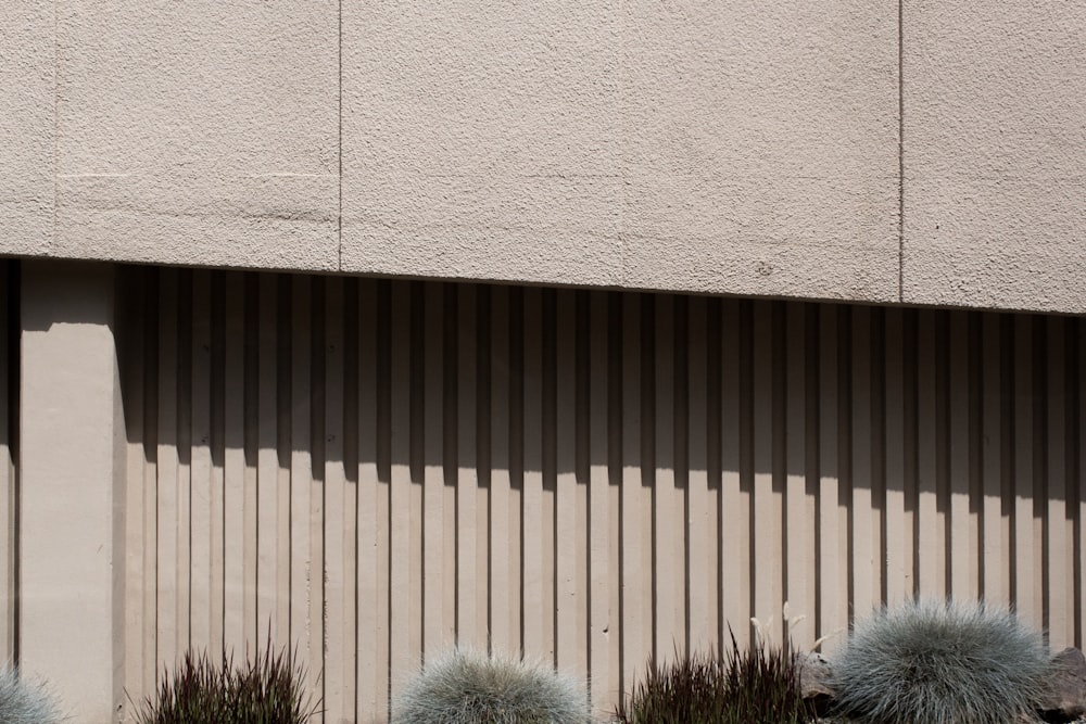 green and brown grass beside gray concrete wall