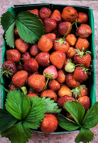 Fresh strawberries from Huelva in a basket with green leaves.