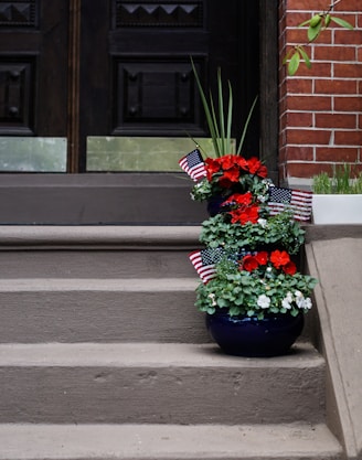 red petaled flowers on vase on top of stairs