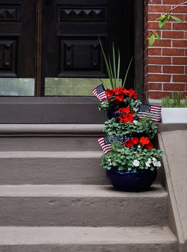 red petaled flowers on vase on top of stairs