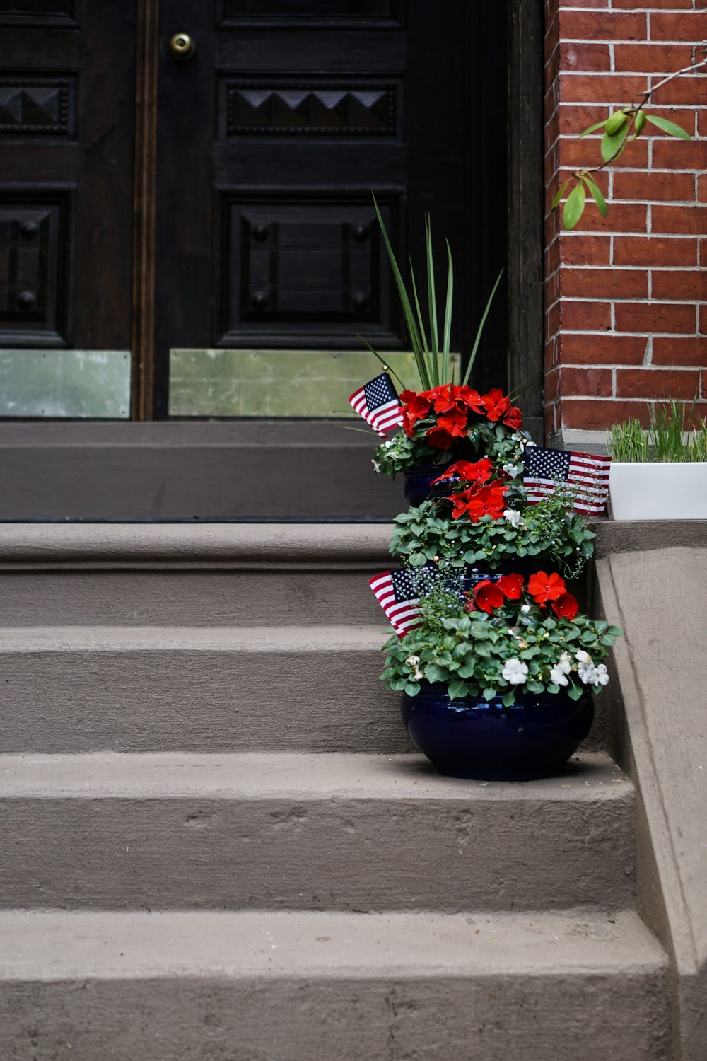 red petaled flowers on vase on top of stairs