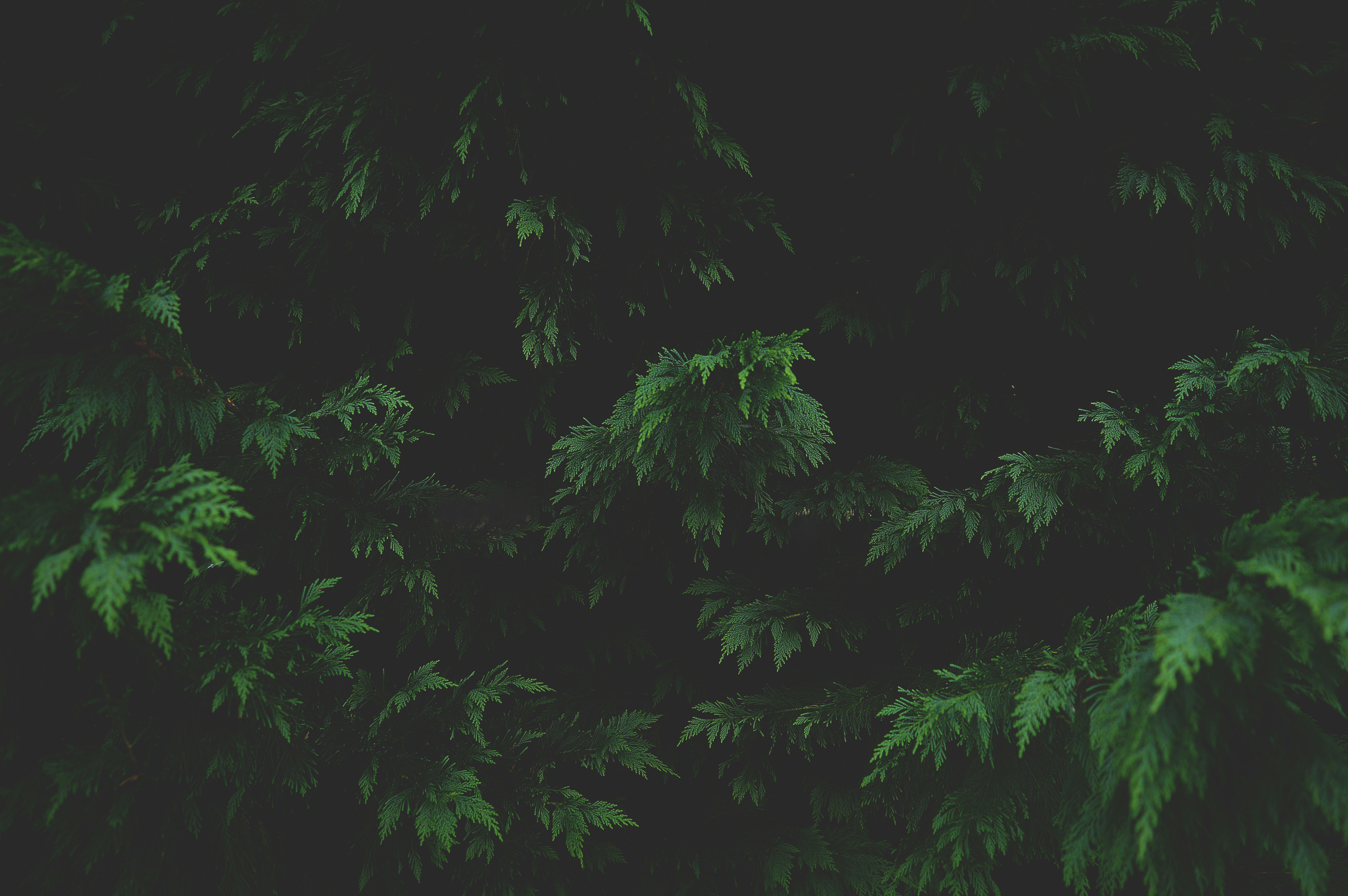 photo-1529086711581-8ebd9fbfc74e?ixid=M3