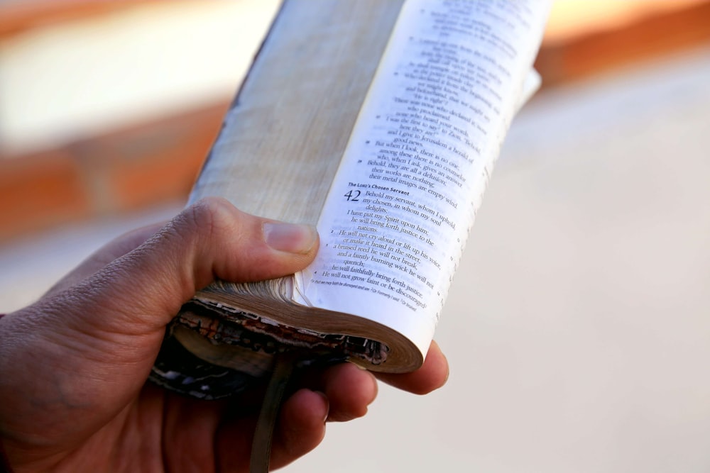 person's hand holding book