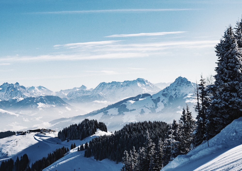 Luftaufnahme des Schneebergs