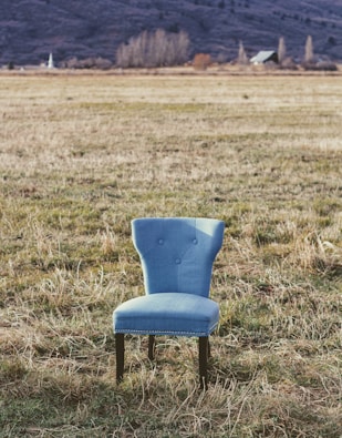 blue padded chair in a grass field
