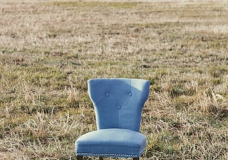 gray padded chair on grass field