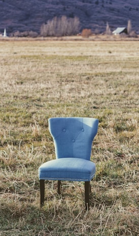 gray padded chair on grass field