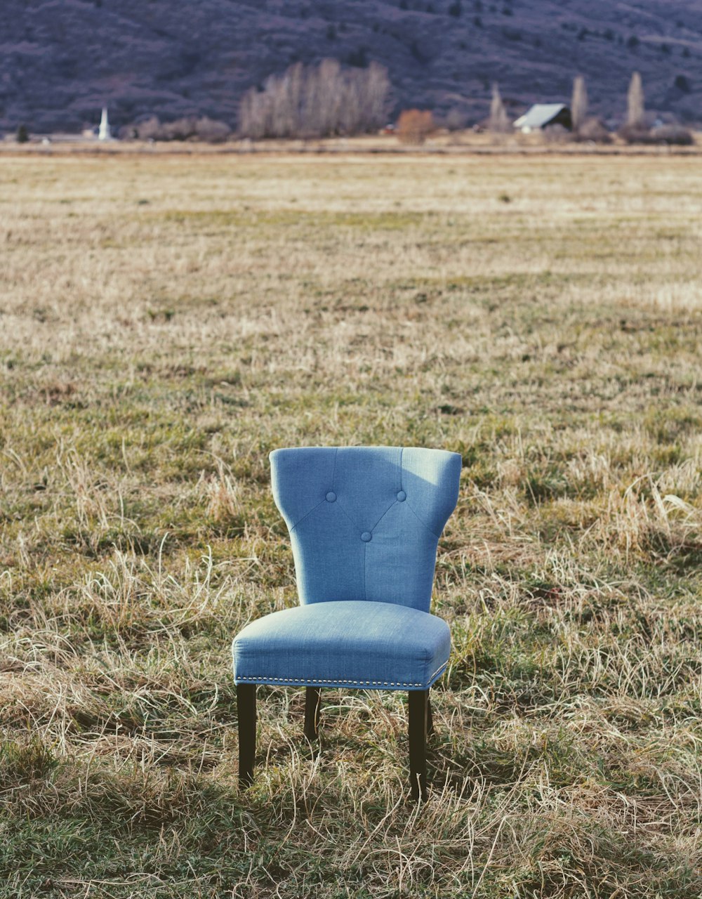 Cadeira acolchoada cinza no campo de grama