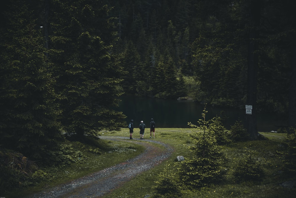 three person walking on pathway near trees