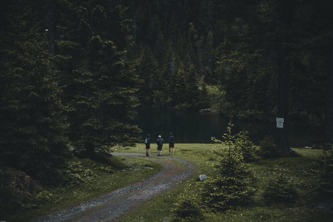 Forest photo spot Elisabethsee Austria