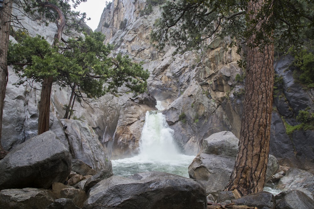 selective focus photography of body of water surrounding trees