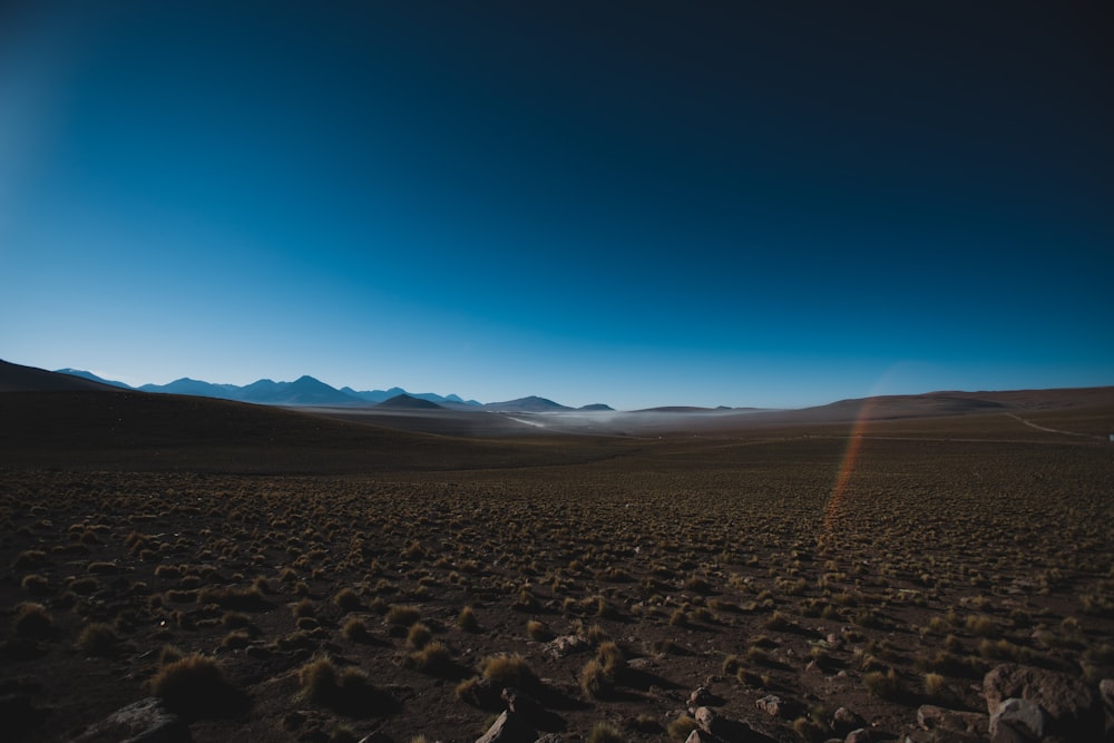 sand at sunrise