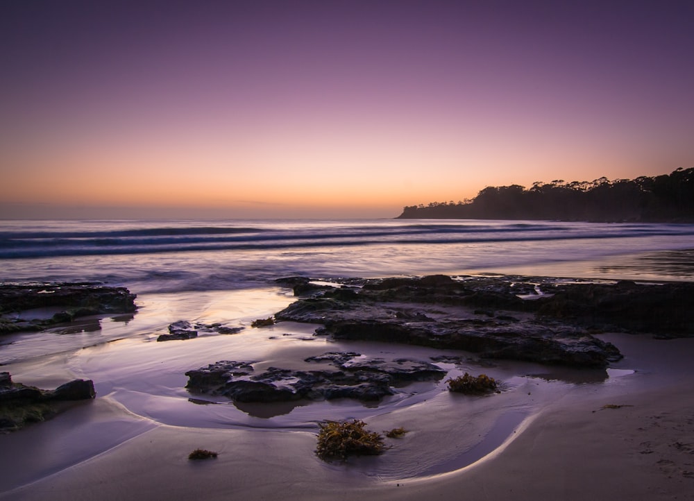 seashore during golden hour