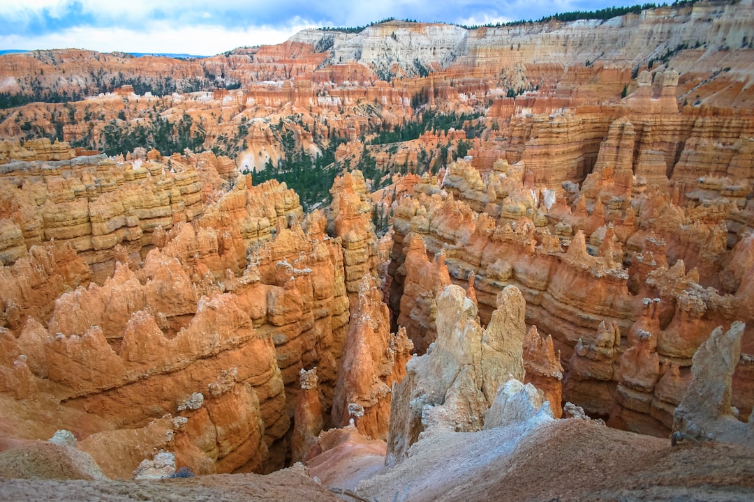 brown canyon during daytime