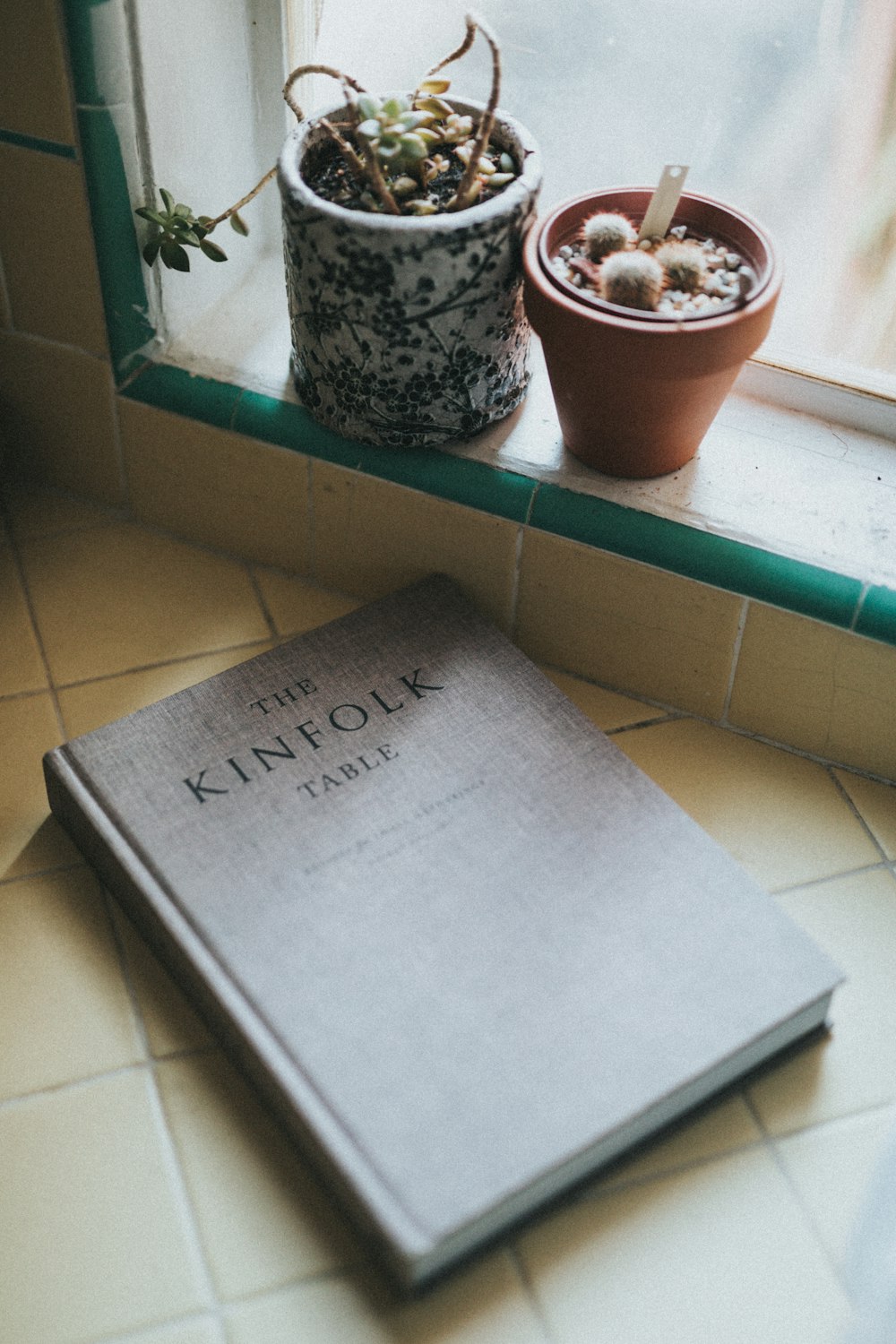 The Kinfolk Table near cactus plant