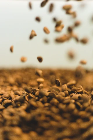 Freshly processed coffee beans resting