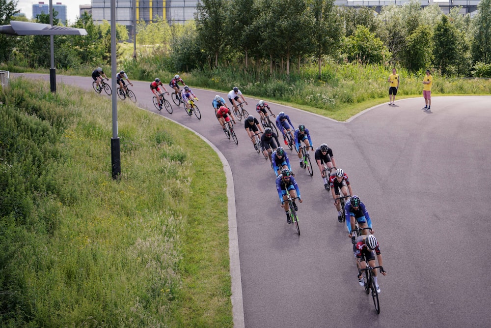 bike riders on road near trees