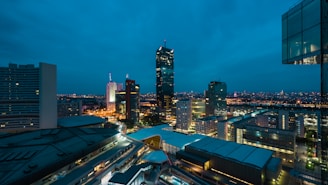 high-rise building city during nighttime