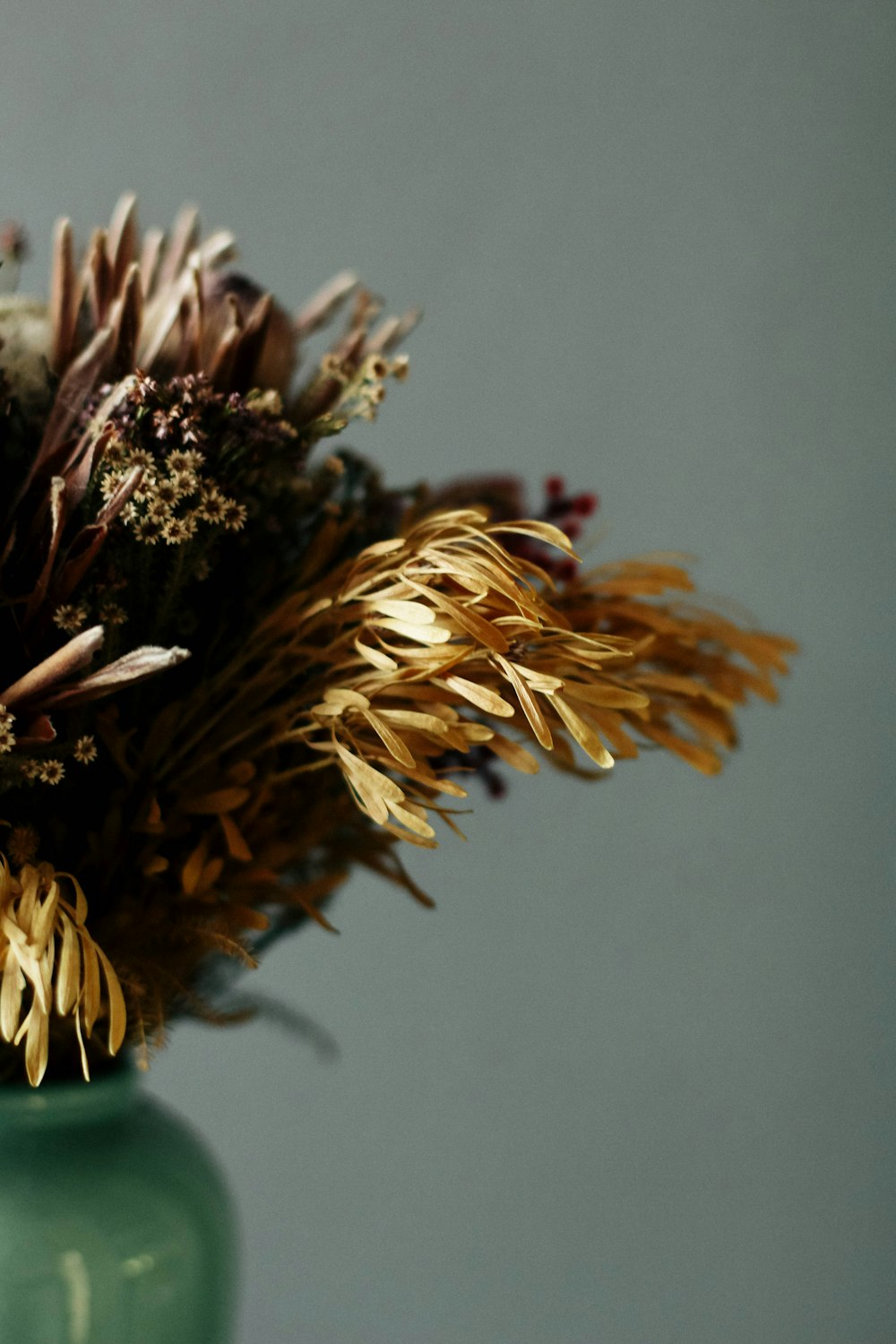 closeup photo of brown petaled flowers