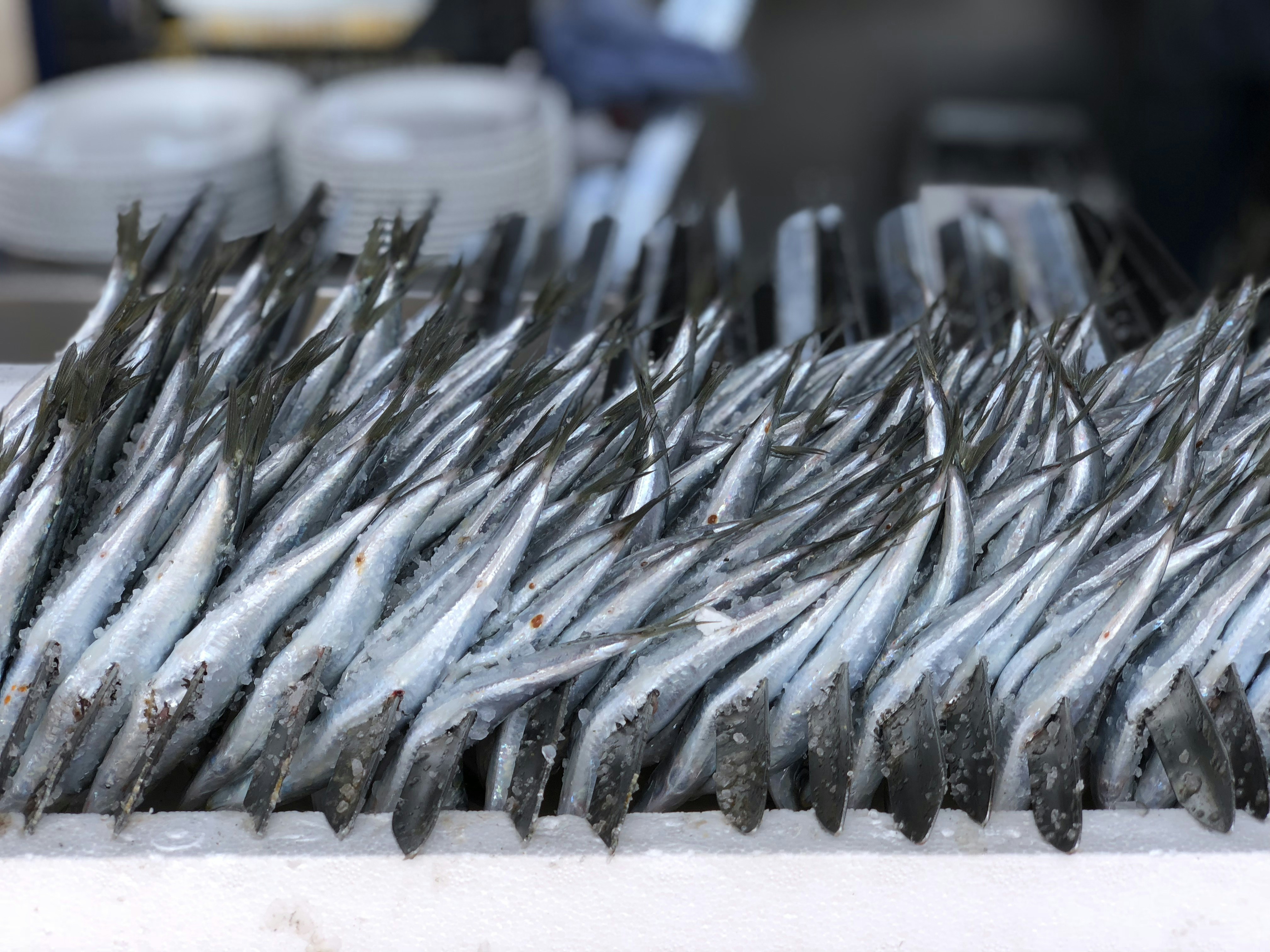 Fresh silver fish on ice in a market stall