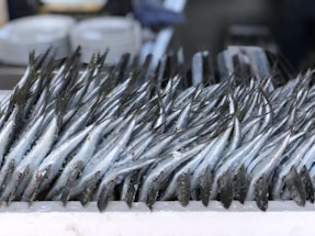 Numerous silvery fish are neatly arranged in rows on a display surface, with their tails pointing upwards. The display is likely part of a seafood market or a restaurant setting, and the fish appear fresh and possibly covered in a light layer of ice.