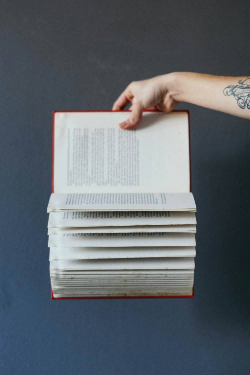 person holding red book