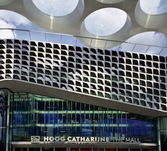 Facade of a cultural center blending traditional and modern architectural elements.