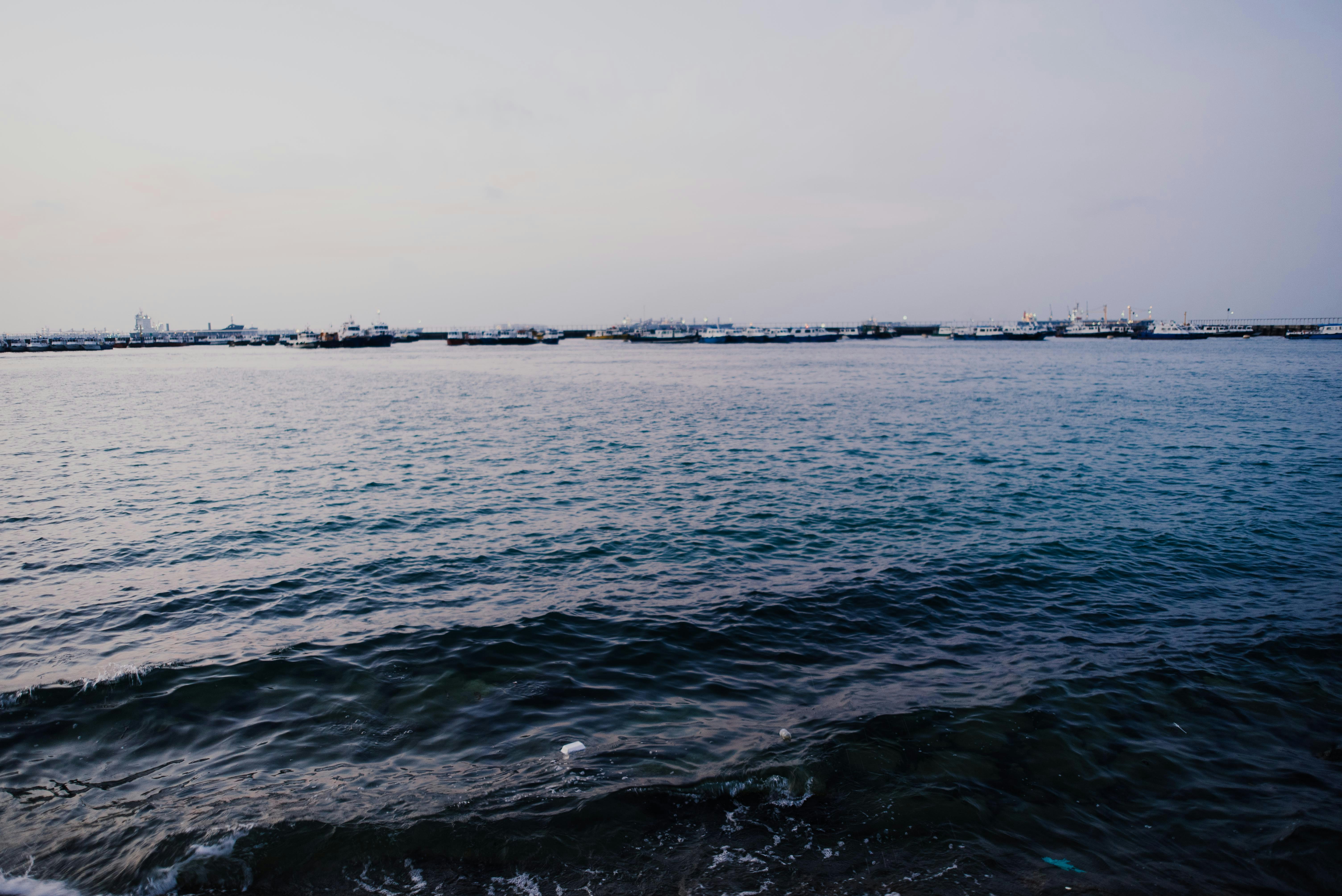 Photo by chuttersnap