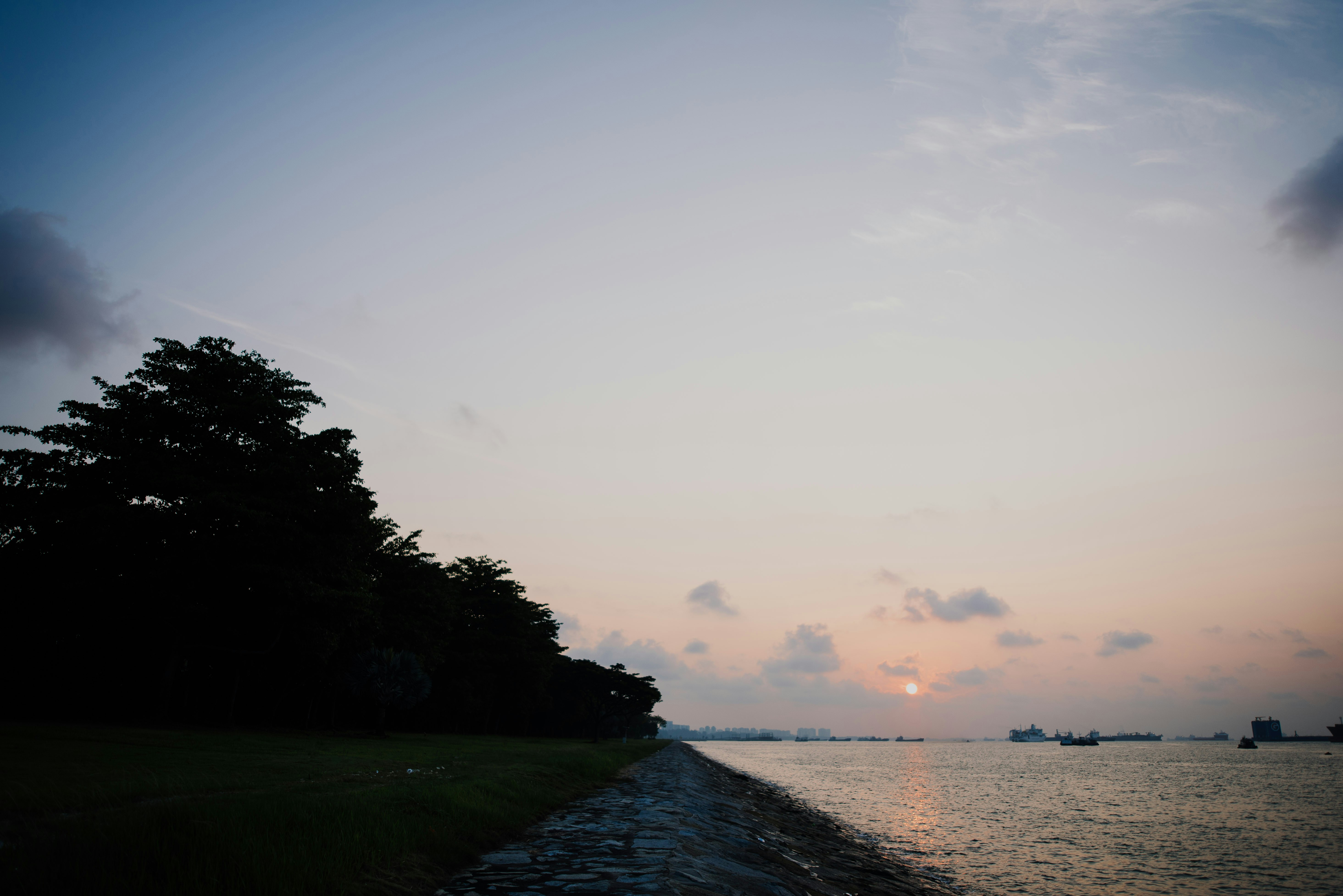 Photo by chuttersnap
