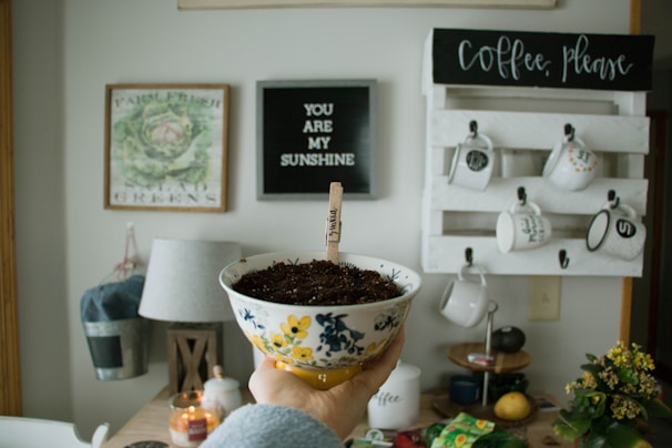 A hand holds a decorative bowl filled with soil, with a popsicle stick sign labeled 'lemon balm'. The background features a cozy kitchen setting with a lamp, plants, a candle, and a wooden wall rack displaying mugs. Two framed wall hangings are visible, one with a botanical illustration and another with the text 'YOU ARE MY SUNSHINE'.