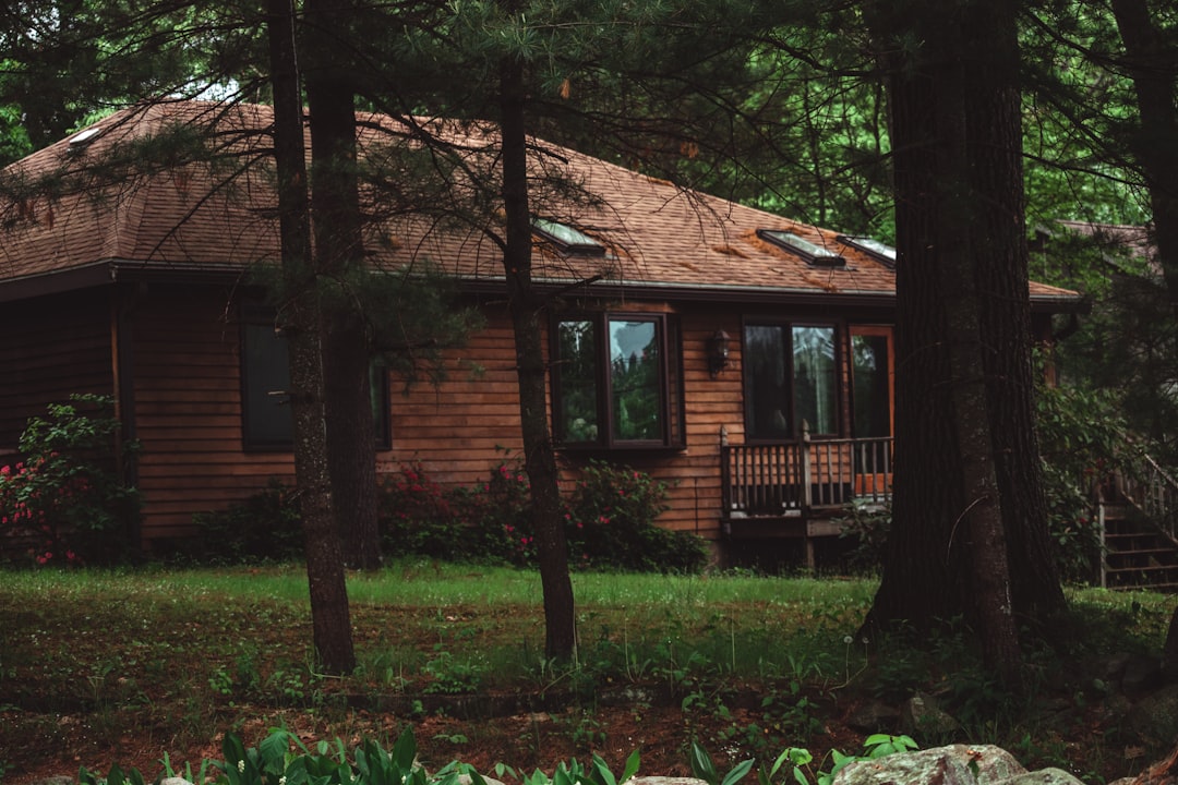 brown wooden house beside trees