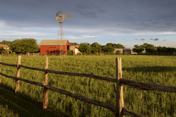 A lively online auction screen showing bids and countdown timers against a warm farm backdrop.