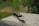 A folding knife is placed on an outdoor concrete surface with a blurred green background.