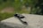 A folding knife is placed on an outdoor concrete surface with a blurred green background.