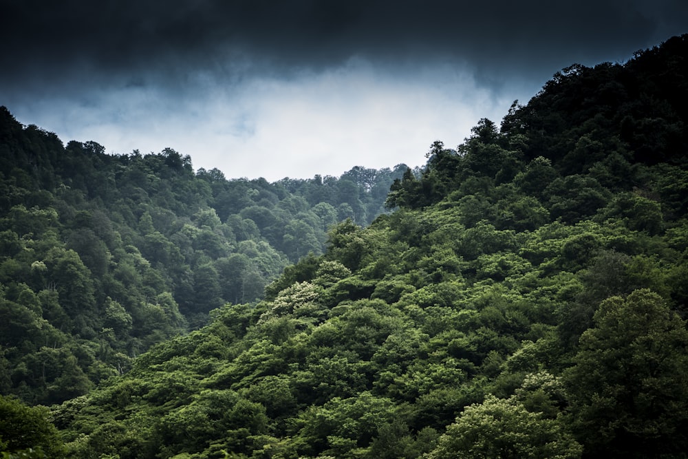 mountain during daytime