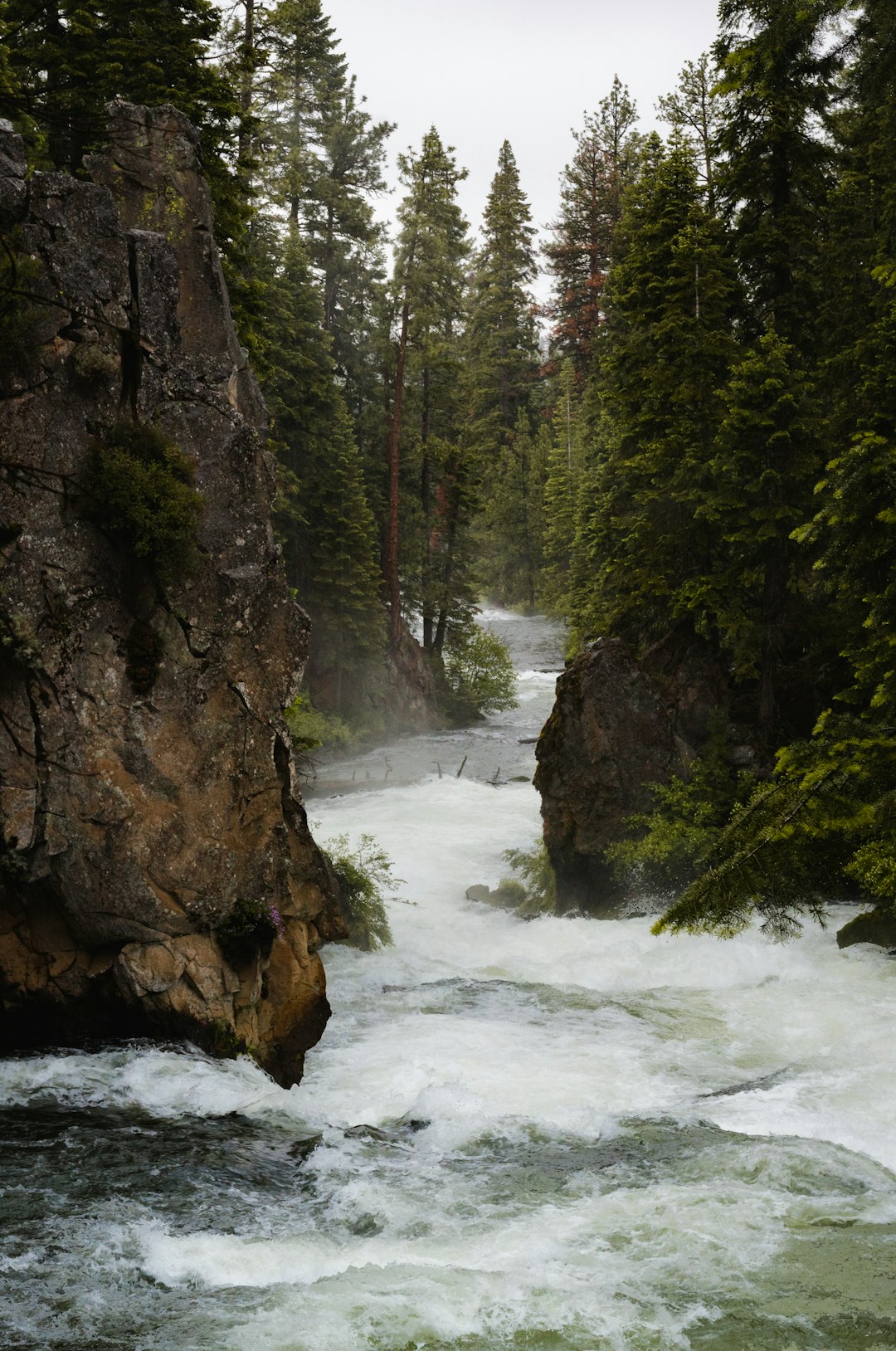 travelers stories about Mountain river in Benham Falls, United States