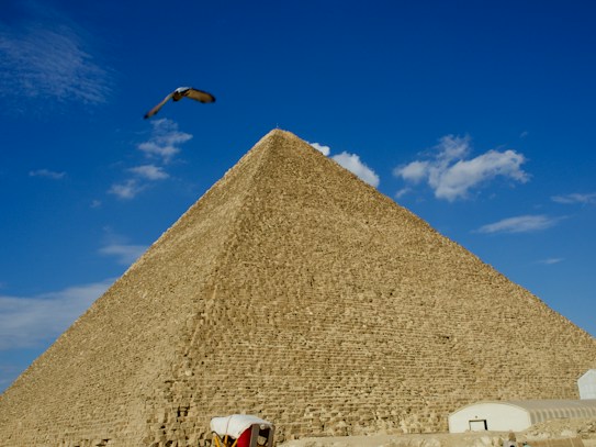 A large, ancient pyramid rises prominently against a clear blue sky, with scattered white clouds. A bird is captured mid-flight, creating a dynamic element in the scene. At the base of the pyramid, modern structures are partially visible, adding a contrast between the ancient and contemporary.